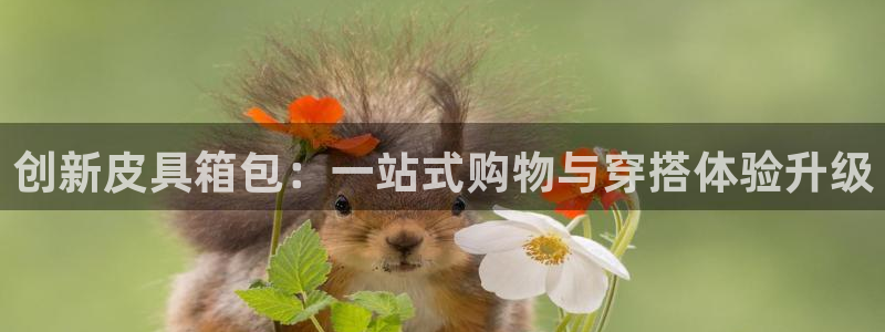 卧龙镇休闲娱乐