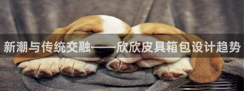 卧龙娱乐招商主管工资