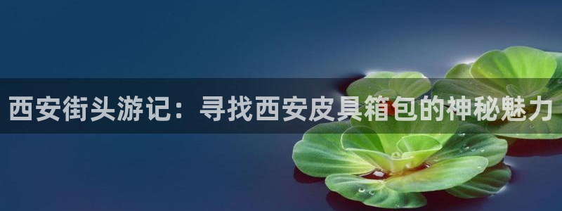 绥阳卧龙湖娱乐