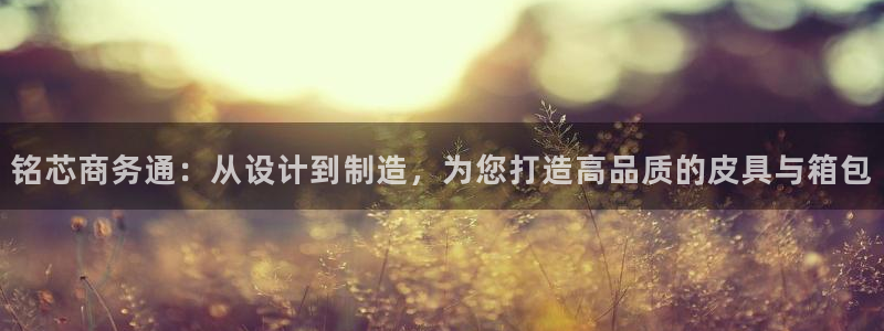 pt娱乐 卧龙招商60447