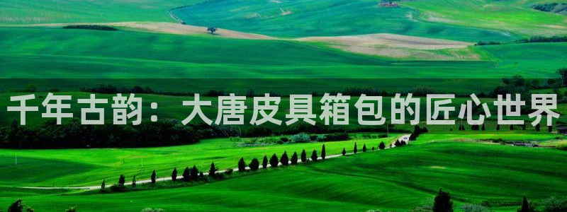 卧龙ktv娱乐会所电话