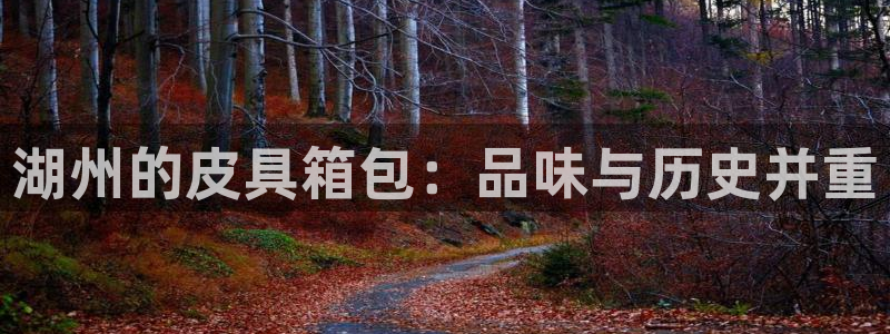 卧龙路凤凰娱乐