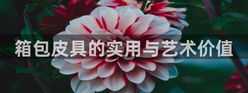 卧龙娱乐在线直播观看