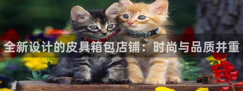 卧龙台球娱乐会所翔安