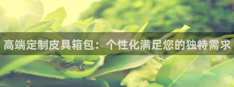 卧龙娱乐注册地址