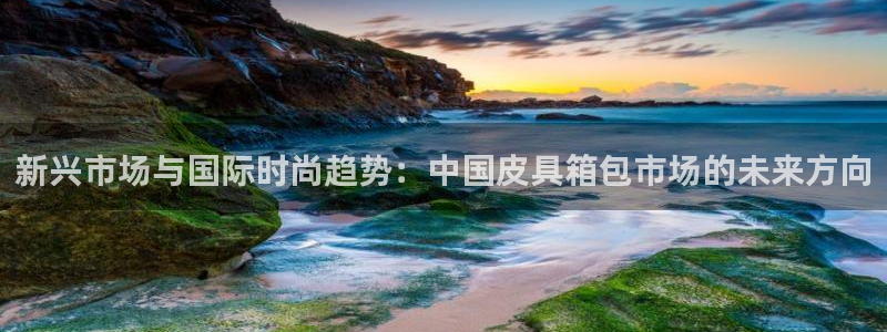 卧龙2神机娱乐注册