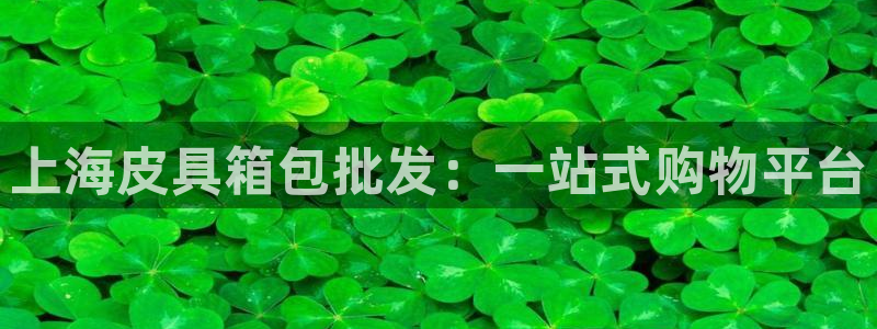 卧龙山娱乐项目