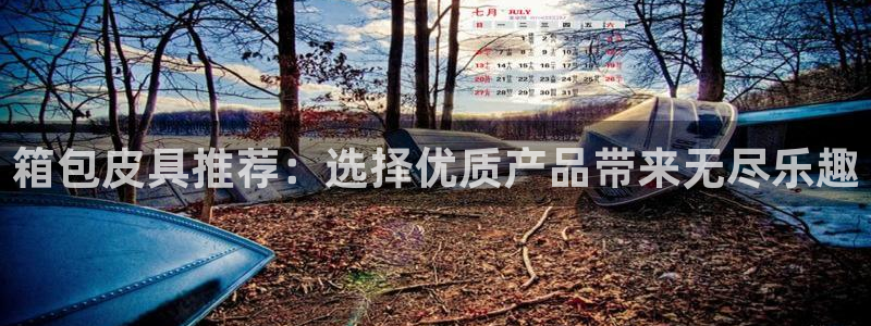 卧龙娱乐招商主管