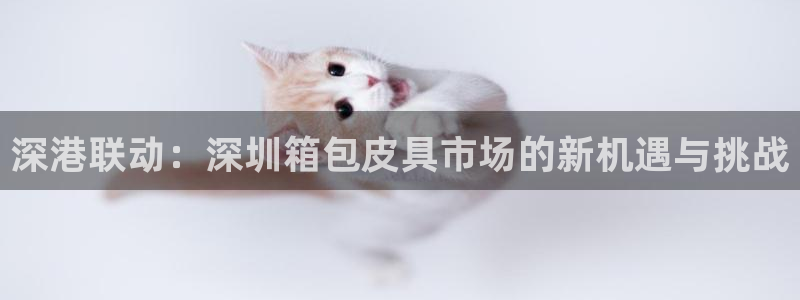 卧龙娱乐注册地址是哪里