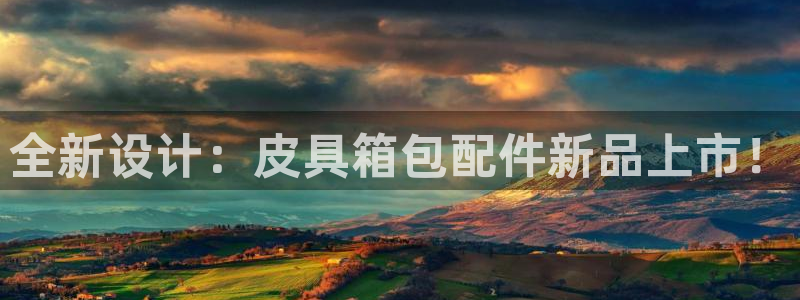 HR娱乐卧龙主管60447