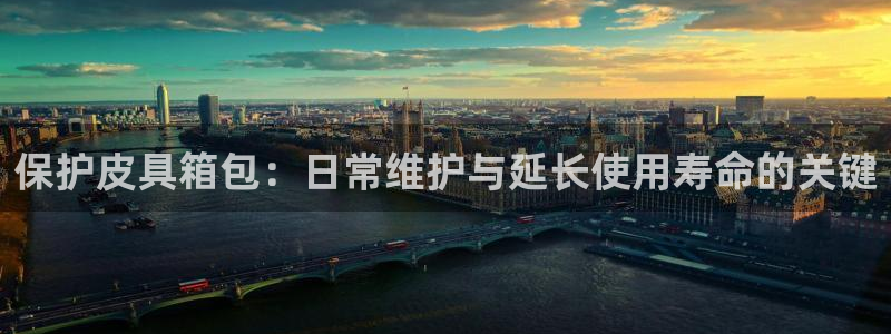 HR娱乐卧龙主管60447