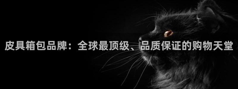 卧龙娱乐老板叫什么名子