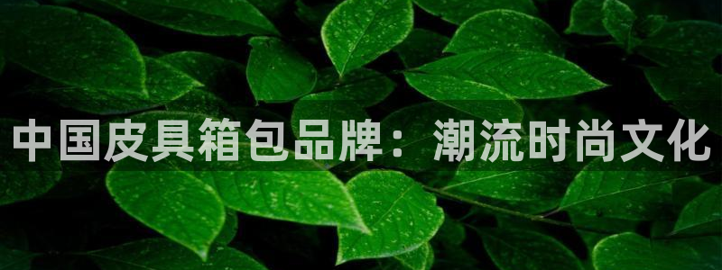 卧龙娱乐是什么