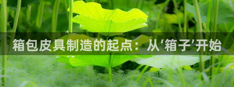 卧龙娱乐月7O667