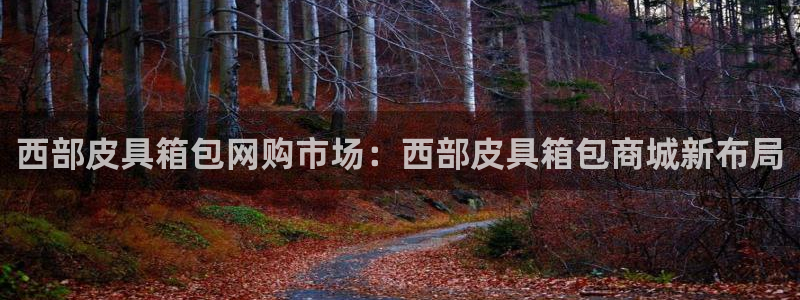 卧龙娱乐在线直播网站