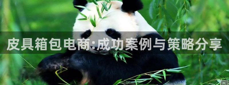 娱乐资讯君卧龙