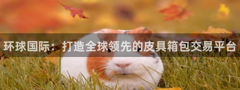 卧龙娱乐彩票兑奖中心