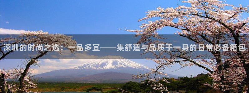 卧龙娱乐注册开户地址