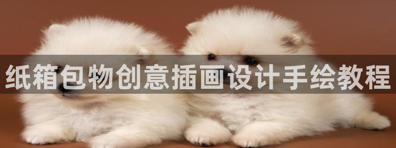 卧龙娱乐怎样注册账号啊