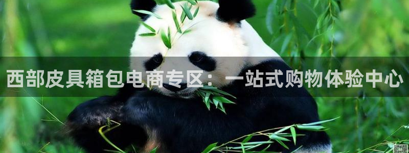 卧龙娱乐怎样注册公司