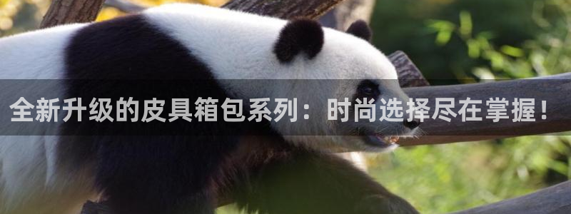 卧龙娱乐找382223