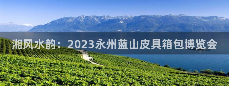 卧龙娱乐彩票官网下载