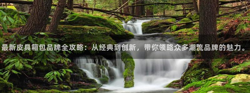 卧龙凤锄娱乐演员