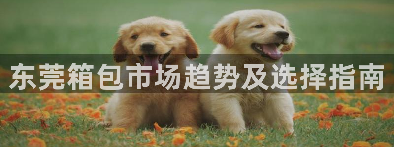 卧龙娱乐在线直播网