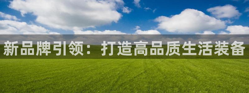 卧龙凤雏娱乐版