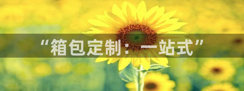 卧龙凤雏娱乐直播间