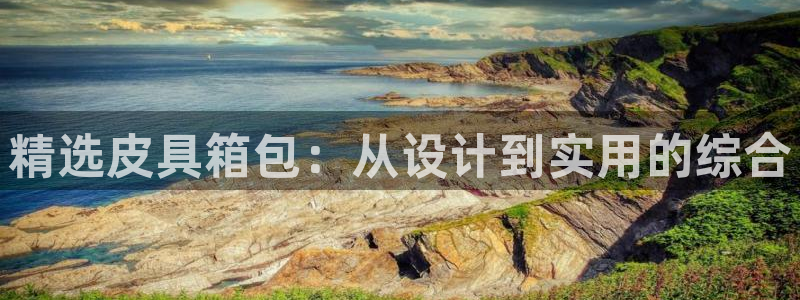 卧龙娱乐气垫项目投资