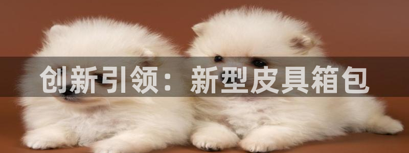 郑州卧龙娱乐设备