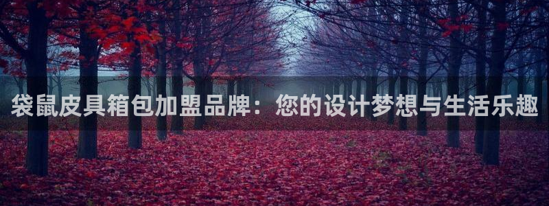 娱乐聚焦卧龙凤雏