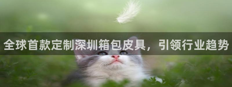 ta娱乐 卧龙股东60447