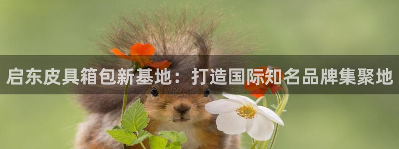 卧龙娱乐在线官网