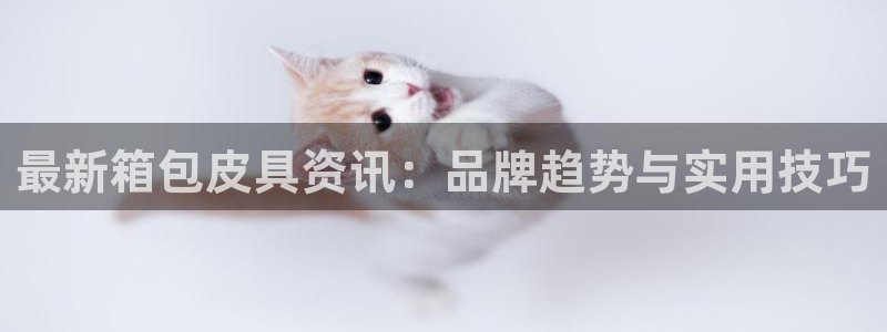 卧龙凤雏娱乐解说