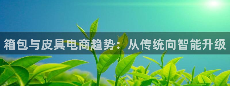 娱乐圈卧龙凤雏