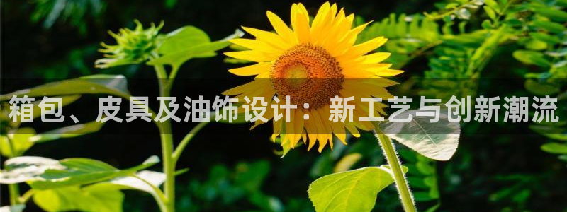 卧龙娱乐官网下载