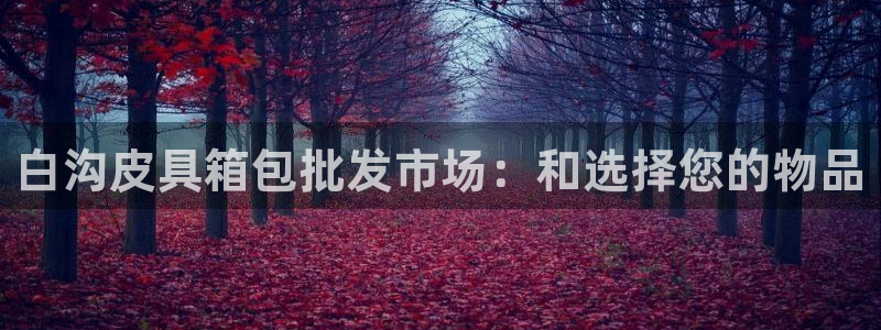 卧龙娱乐注册链接