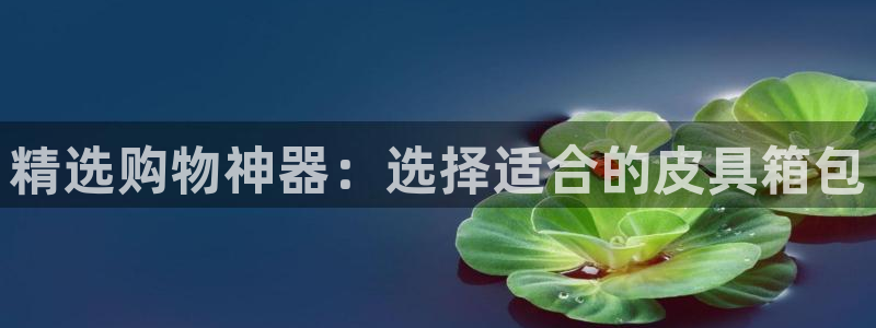 郑州卧龙娱乐设备