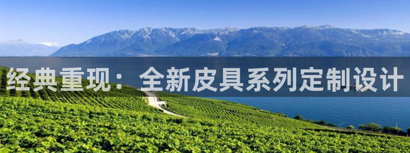 hr娱乐 卧龙主管60447