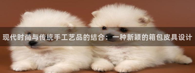 we娱乐 卧龙主管60447