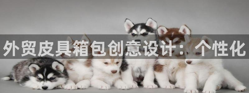 SKY娱乐卧龙主管60447