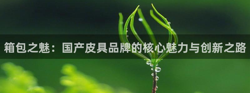 卧龙娱乐是哪个系列