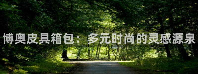 卧龙凤雏娱乐版