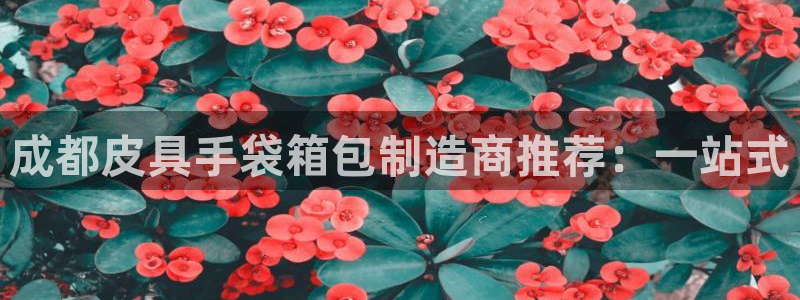 卧龙娱乐怎么样啊