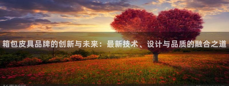卧龙娱乐注册开户地址