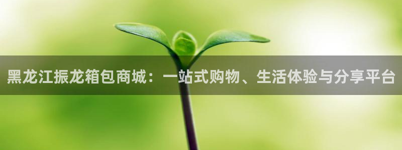 卧龙娱乐滴qv382223