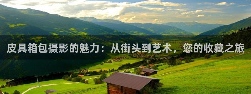 卧龙凤锄娱乐