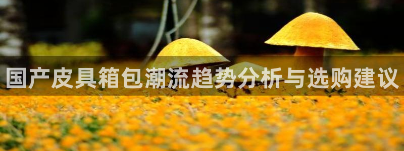 卧龙谷娱乐
